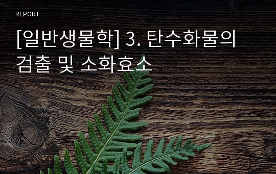 [일반생물학] 3. 탄수화물의 검출 및 소화효소