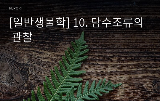 [일반생물학] 10. 담수조류의 관찰