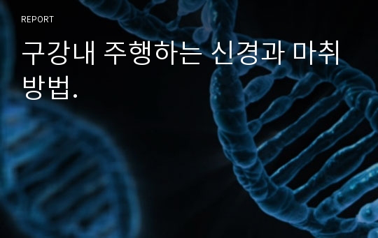 구강내 주행하는 신경과 마취방법.