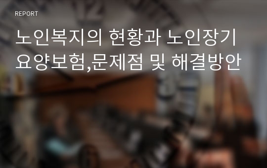 노인복지의 현황과 노인장기요양보험,문제점 및 해결방안