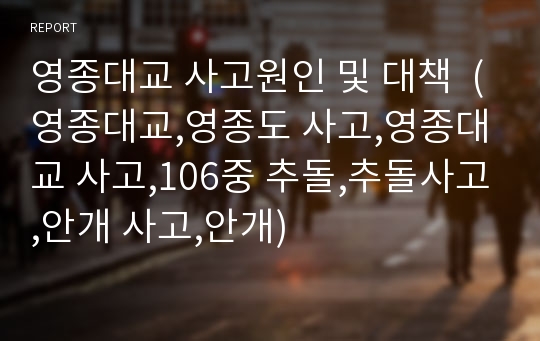 영종대교 사고원인 및 대책  (영종대교,영종도 사고,영종대교 사고,106중 추돌,추돌사고,안개 사고,안개)