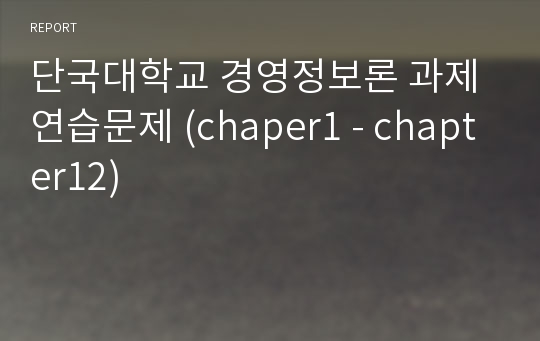 단국대학교 경영정보론 과제 연습문제 (chaper1 - chapter12)