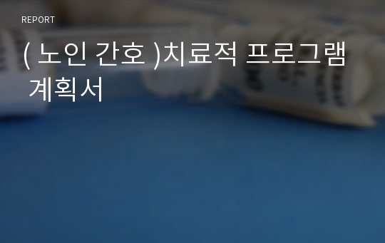 ( 노인 간호 )치료적 프로그램 계획서