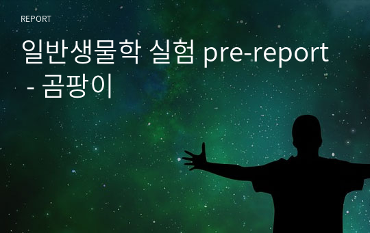 일반생물학 실험 pre-report - 곰팡이