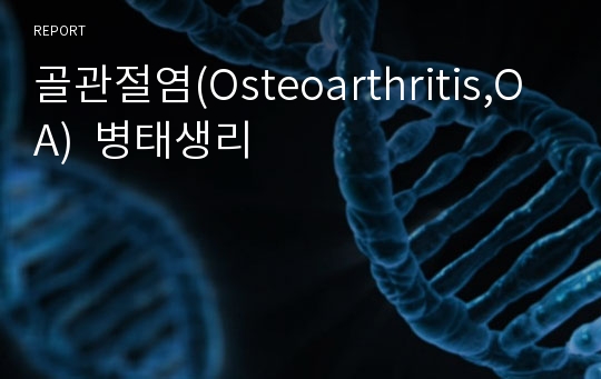 골관절염(Osteoarthritis,OA)  병태생리