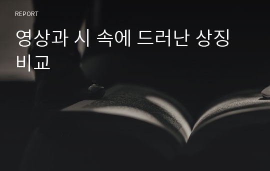 영상과 시 속에 드러난 상징비교