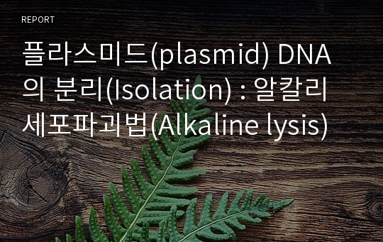 플라스미드(plasmid) DNA의 분리(Isolation) : 알칼리 세포파괴법(Alkaline lysis)