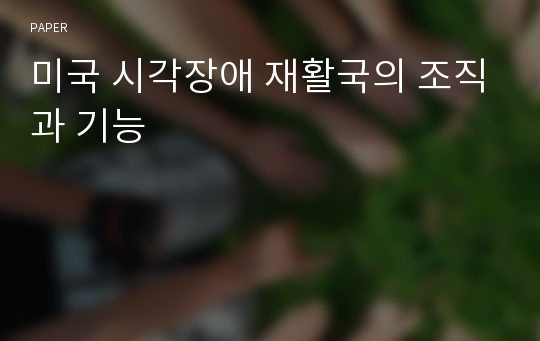 미국 시각장애 재활국의 조직과 기능