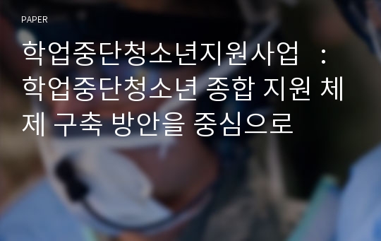 학업중단청소년지원사업   : 학업중단청소년 종합 지원 체제 구축 방안을 중심으로