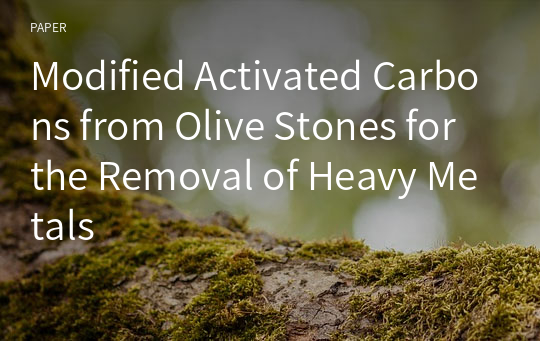 Modified Activated Carbons from Olive Stones for the Removal of Heavy Metals