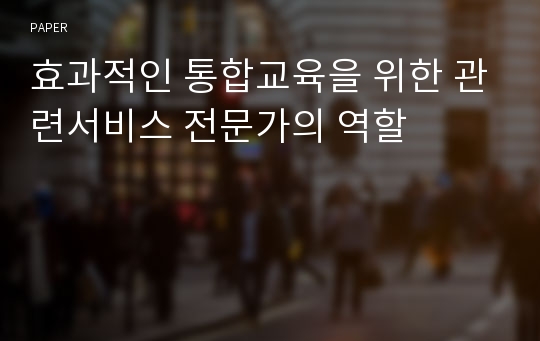 효과적인 통합교육을 위한 관련서비스 전문가의 역할