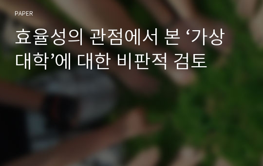 효율성의 관점에서 본 ‘가상대학’에 대한 비판적 검토