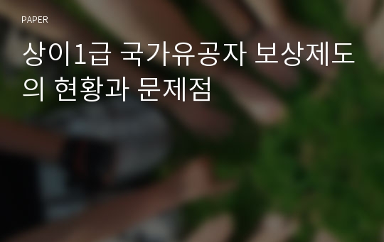 상이1급 국가유공자 보상제도의 현황과 문제점