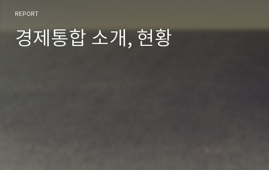 경제통합 소개, 현황