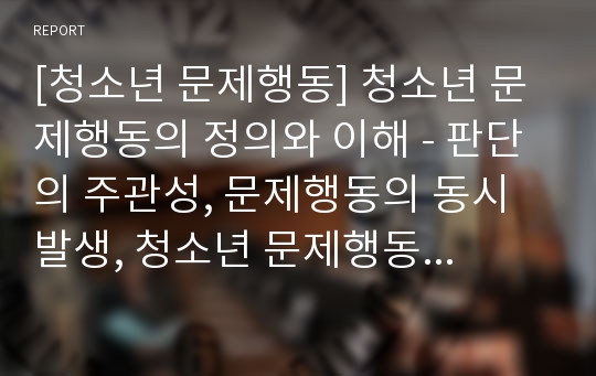 [청소년 문제행동] 청소년 문제행동의 정의와 이해 - 판단의 주관성, 문제행동의 동시 발생, 청소년 문제행동에 대한 시각