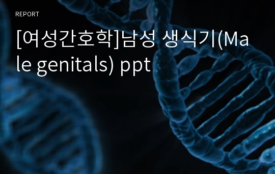 [여성간호학]남성 생식기(Male genitals) ppt