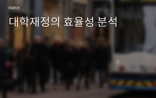 대학재정의 효율성 분석