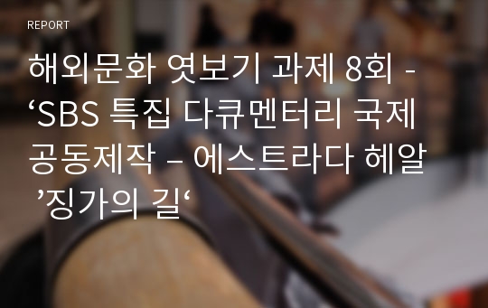 해외문화 엿보기 과제 8회 - ‘SBS 특집 다큐멘터리 국제공동제작 – 에스트라다 헤알 ’징가의 길‘