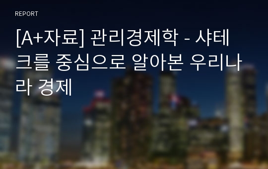 [A+자료] 관리경제학 - 샤테크를 중심으로 알아본 우리나라 경제