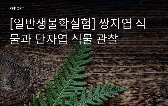 [일반생물학실험] 쌍자엽 식물과 단자엽 식물 관찰