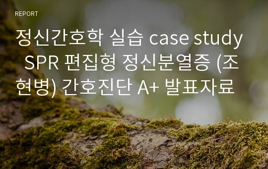 정신간호학 실습 case study  SPR 편집형 정신분열증 (조현병) 간호진단 A+ 발표자료