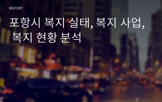 포항시 복지 실태, 복지 사업, 복지 현황 분석