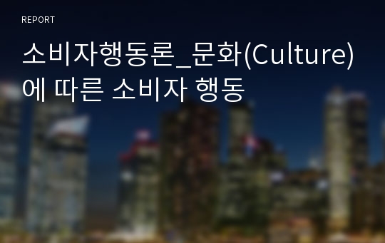 소비자행동론_문화(Culture)에 따른 소비자 행동