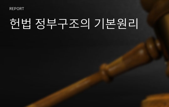 헌법 정부구조의 기본원리