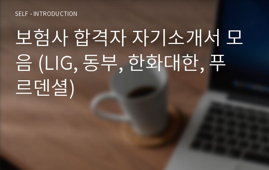 보험사 합격자 자기소개서 모음 (LIG, 동부, 한화대한, 푸르덴셜)