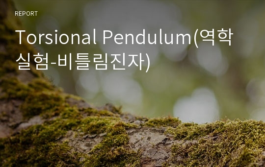 Torsional Pendulum(역학실험-비틀림진자)