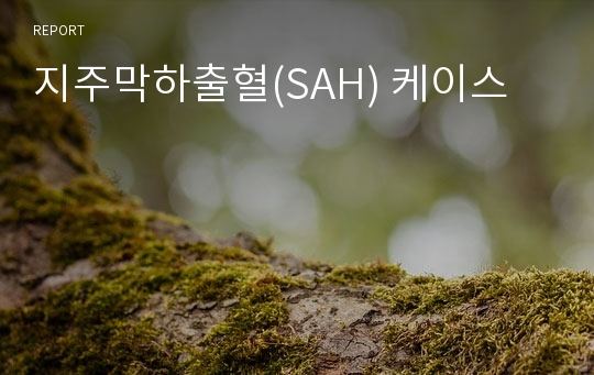 지주막하출혈(SAH) 케이스