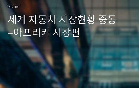 세계 자동차 시장현황 중동 –아프리카 시장편