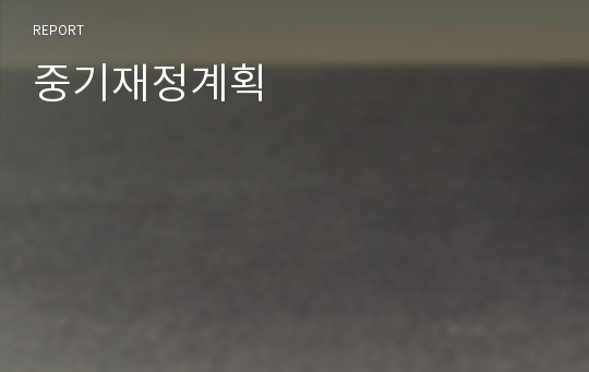 중기재정계획