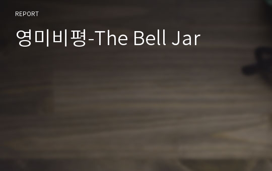 영미비평-The Bell Jar