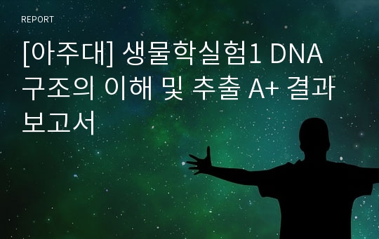 [아주대] 생물학실험1 DNA 구조의 이해 및 추출 A+ 결과보고서