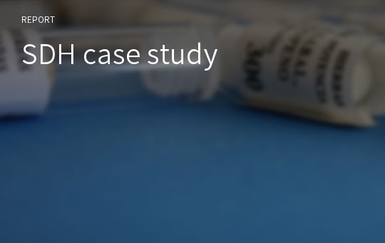 SDH case study