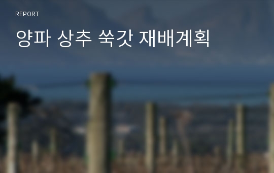 양파 상추 쑥갓 재배계획