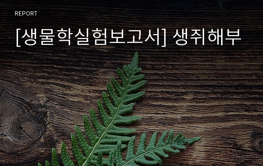 [생물학실험보고서] 생쥐해부