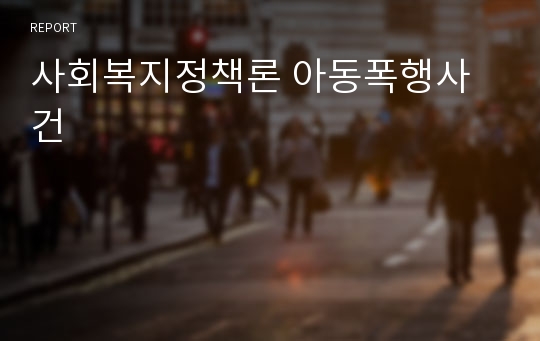 사회복지정책론 아동폭행사건