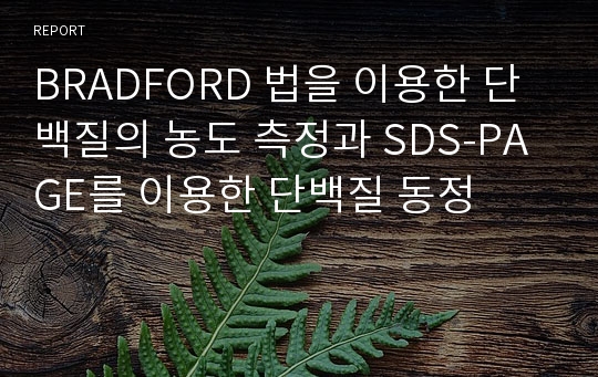 BRADFORD 법을 이용한 단백질의 농도 측정과 SDS-PAGE를 이용한 단백질 동정