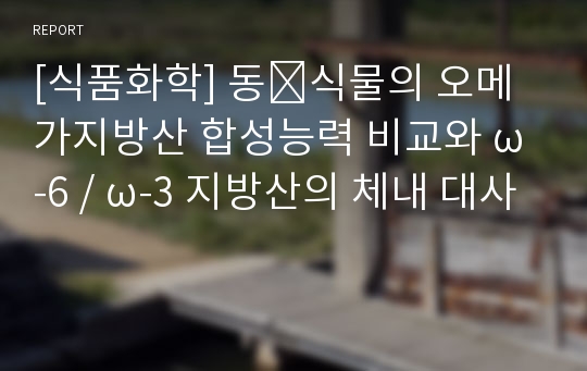 [식품화학] 동∙식물의 오메가지방산 합성능력 비교와 ω-6 / ω-3 지방산의 체내 대사