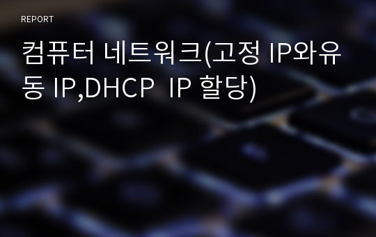 컴퓨터 네트워크(고정 IP와유동 IP,DHCP  IP 할당)