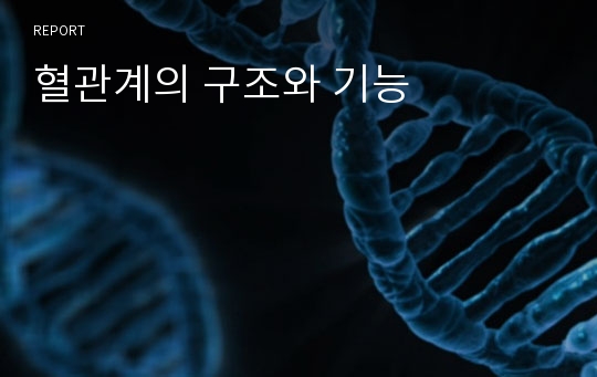 혈관계의 구조와 기능