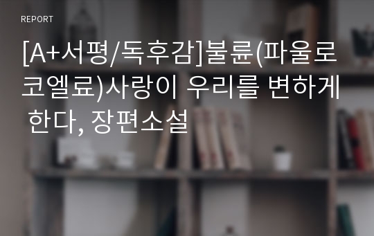 [A+서평/독후감]불륜(파울로 코엘료)사랑이 우리를 변하게 한다, 장편소설