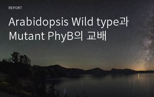 Arabidopsis Wild type과 Mutant PhyB의 교배