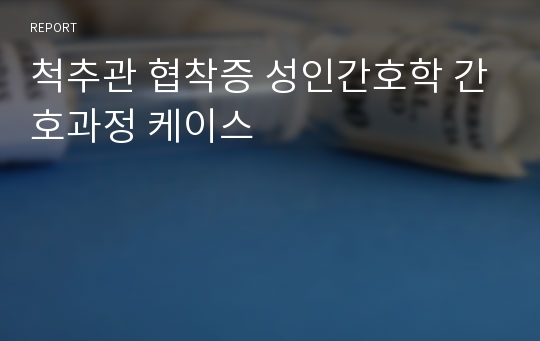 척추관 협착증 성인간호학 간호과정 케이스