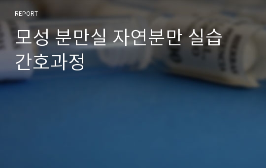 모성 분만실 자연분만 실습 간호과정