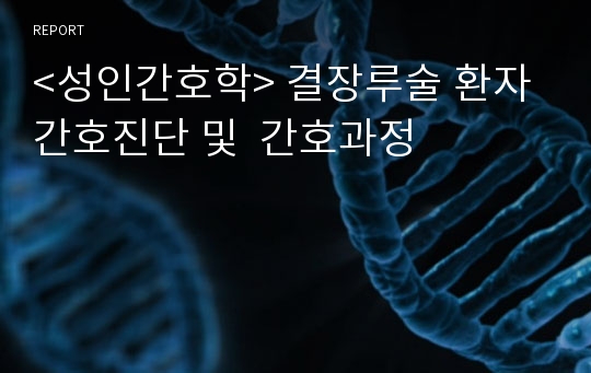 &lt;성인간호학&gt; 결장루술 환자 간호진단 및  간호과정