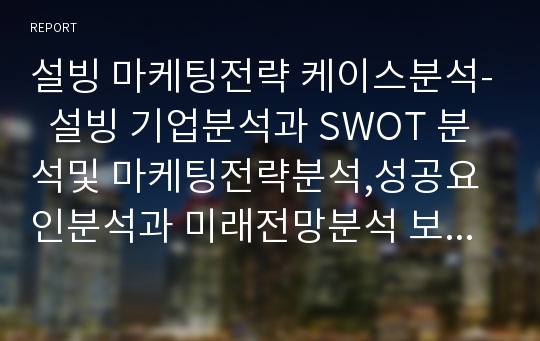 설빙 마케팅전략 케이스분석-  설빙 기업분석과 SWOT 분석및 마케팅전략분석,성공요인분석과 미래전망분석 보고서