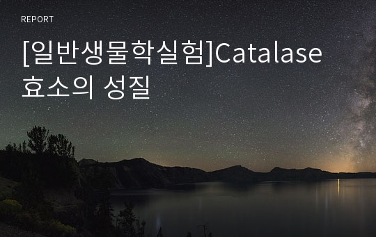 [일반생물학실험]Catalase 효소의 성질